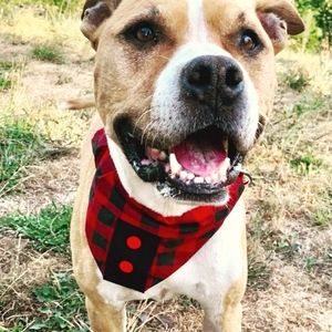 Slip over the collar red and black plaid dog scarf bandana